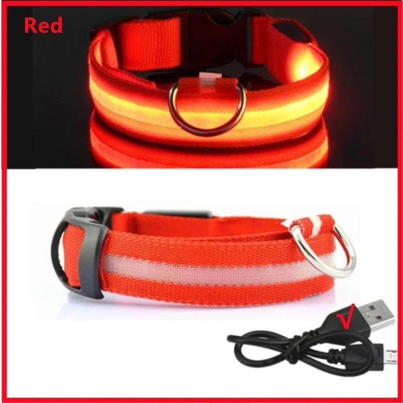 Collier lumineux chien poil long rouge