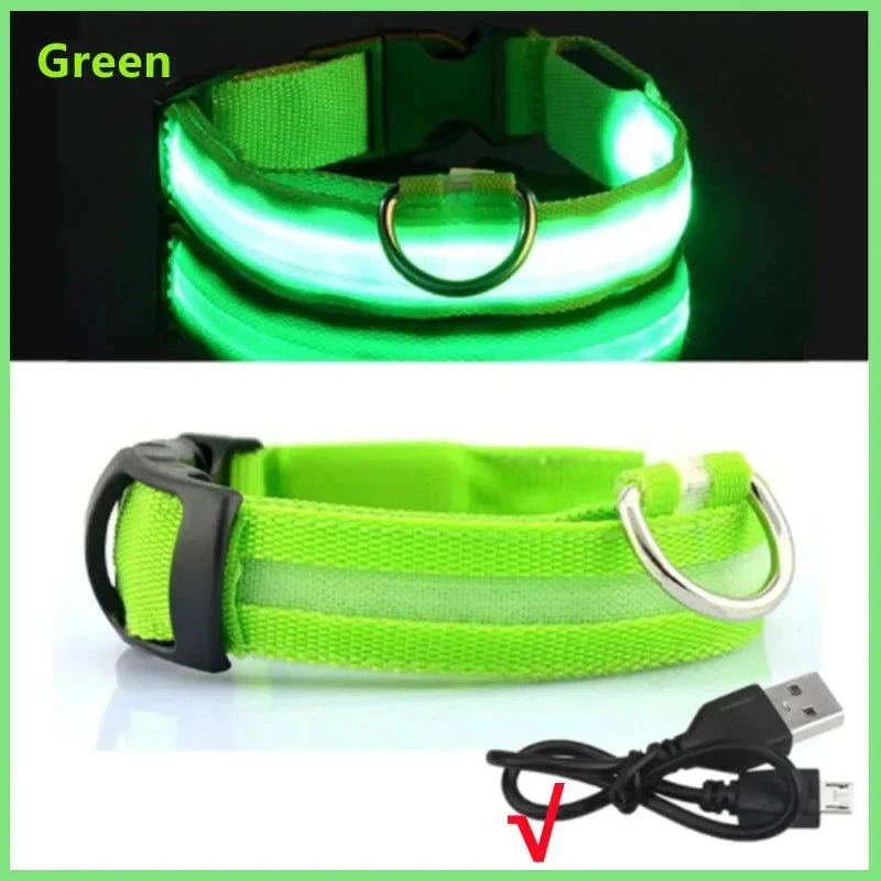Collier lumineux chien poil long de couleur vert