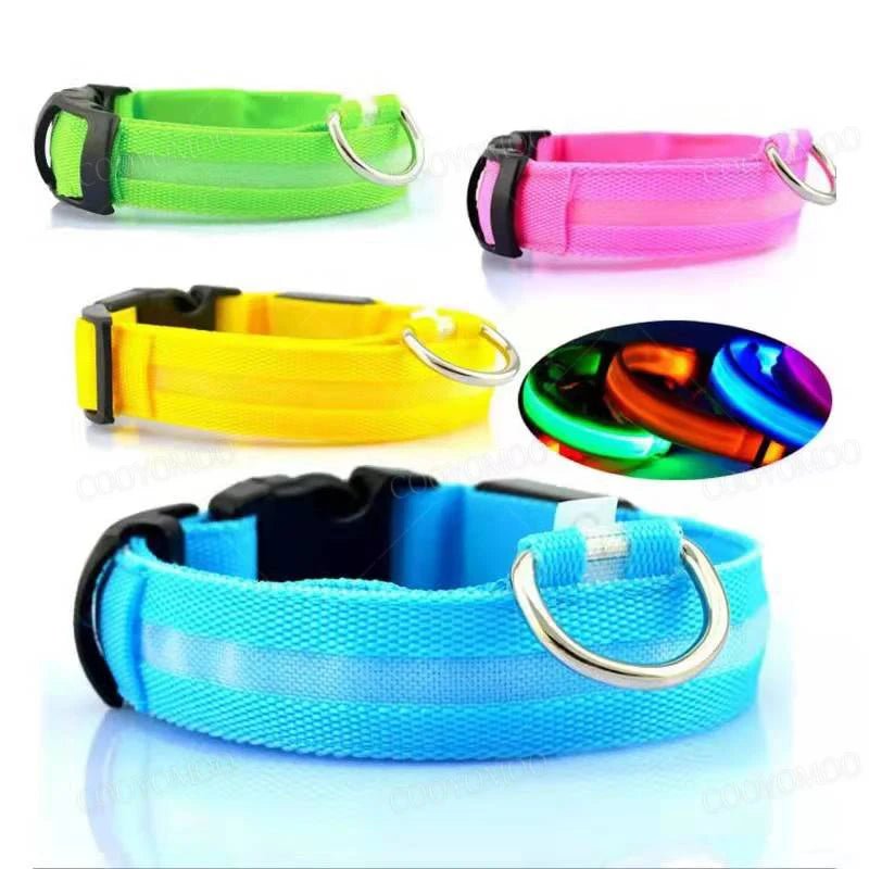 Collier lumineux chien poil long bleu mis en valeur