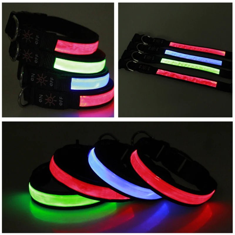 Collier lumineux pour petit chien mis en valeur de forme différente 