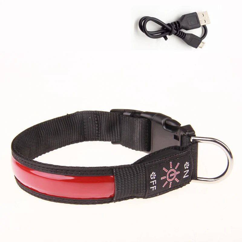 Collier lumineux pour petit chien rouge