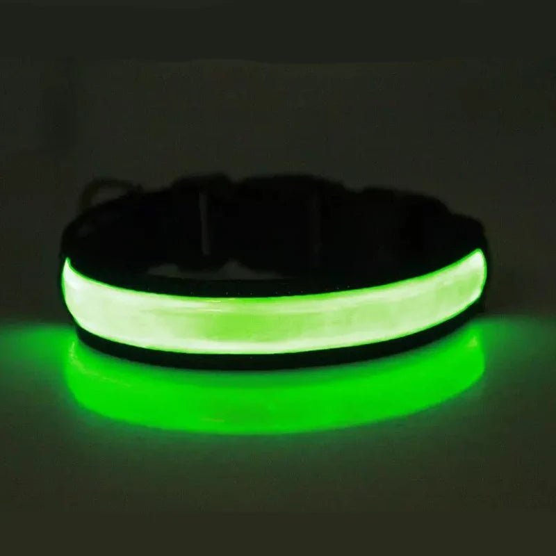 Collier lumineux pour petit chien de couleur vert
