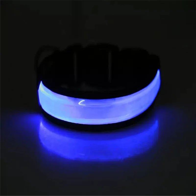 Collier lumineux pour petit chien bleu