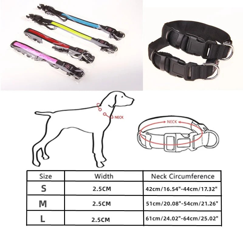 dimensions total Collier lumineux pour petit chien