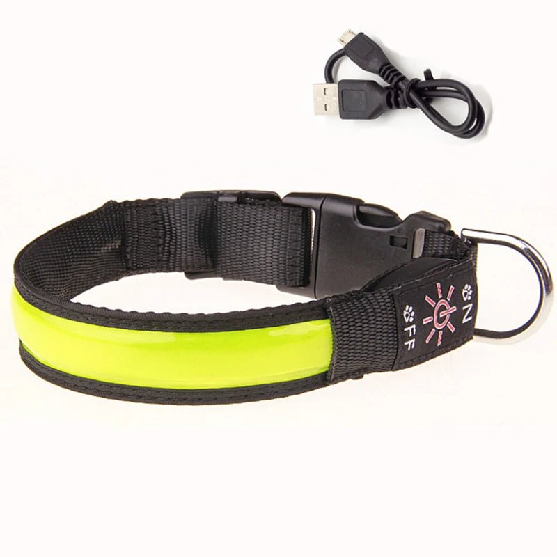 Collier lumineux pour petit chien jaune