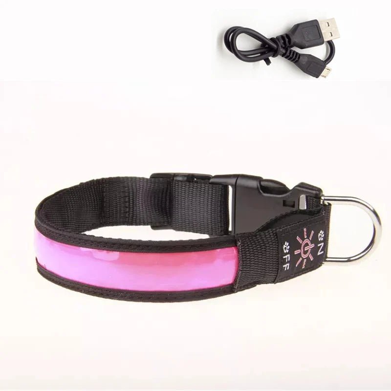 Collier lumineux pour petit chien rose