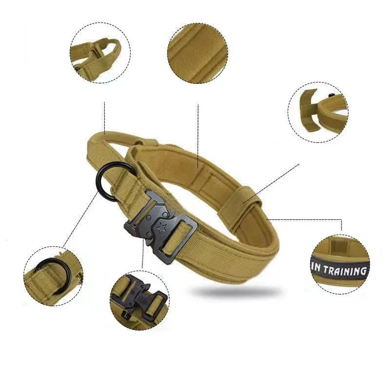 Collier militaire chien avantages du produit 