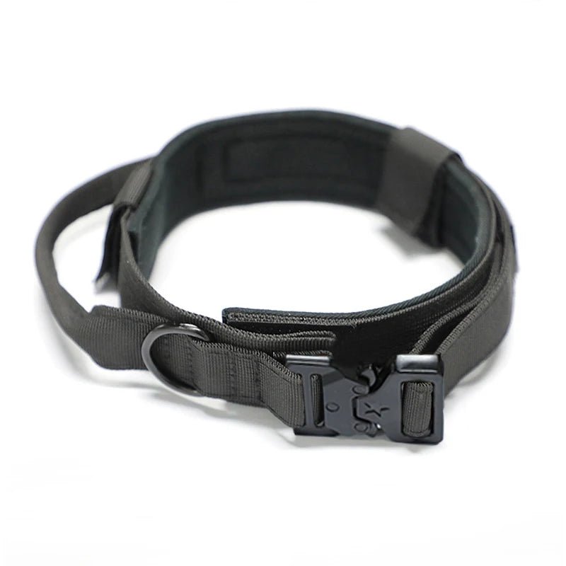Collier militaire chien attache collier 