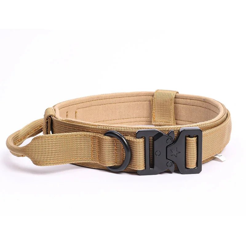 Collier militaire chien beige 