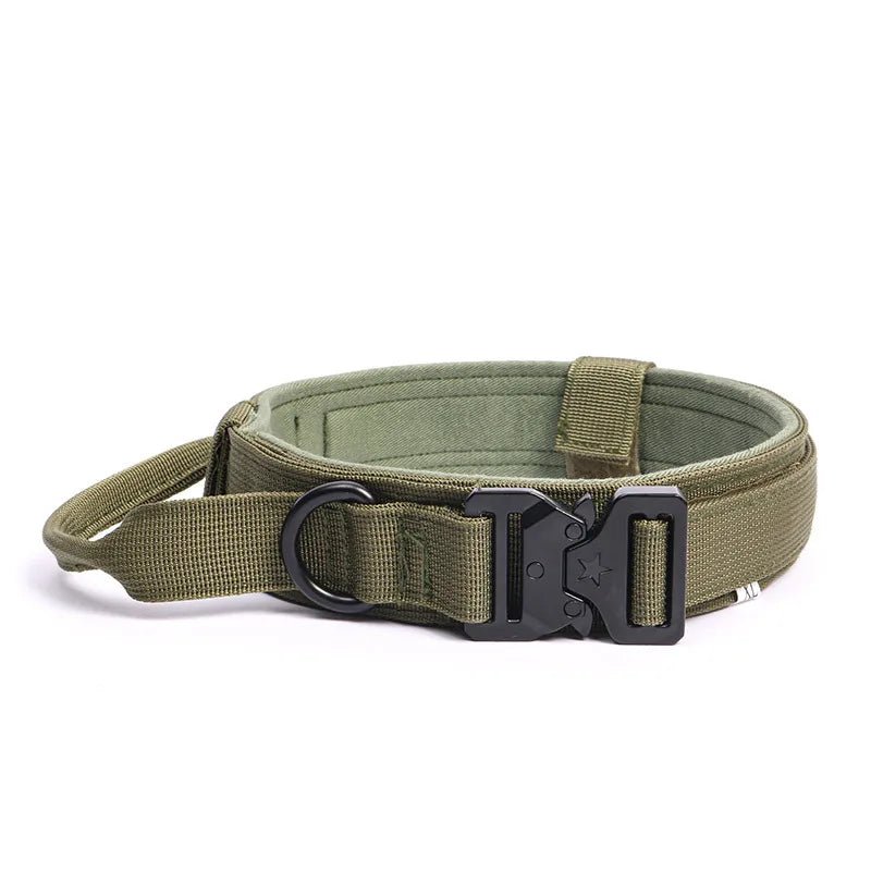 Collier militaire chien kaki