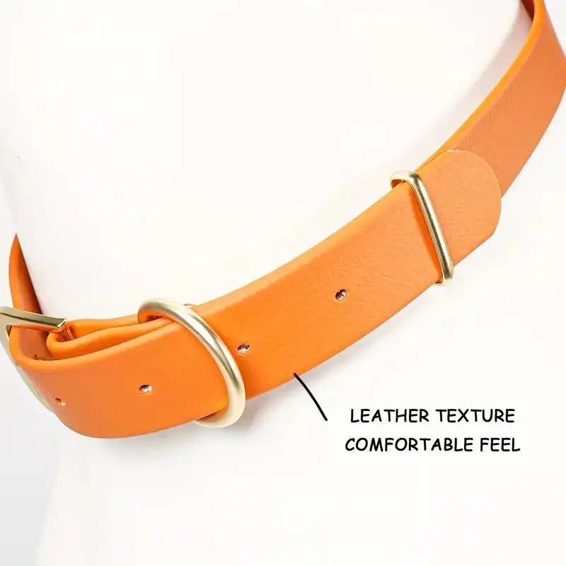 Collier orange chien