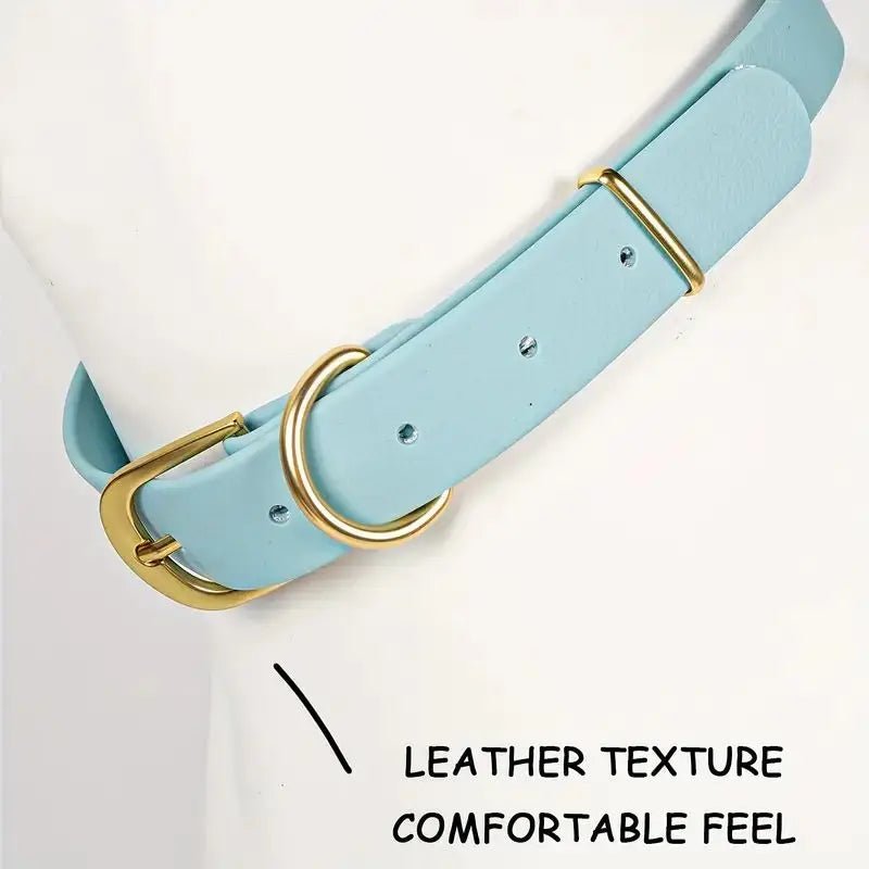 Collier plat chien produit 