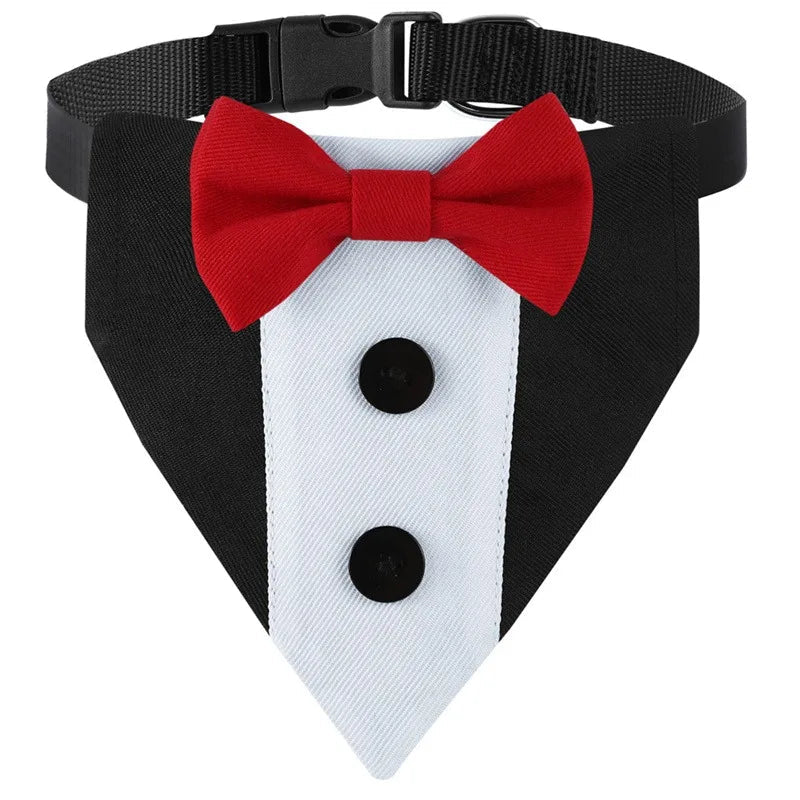 Collier pour chien fantaisie rouge