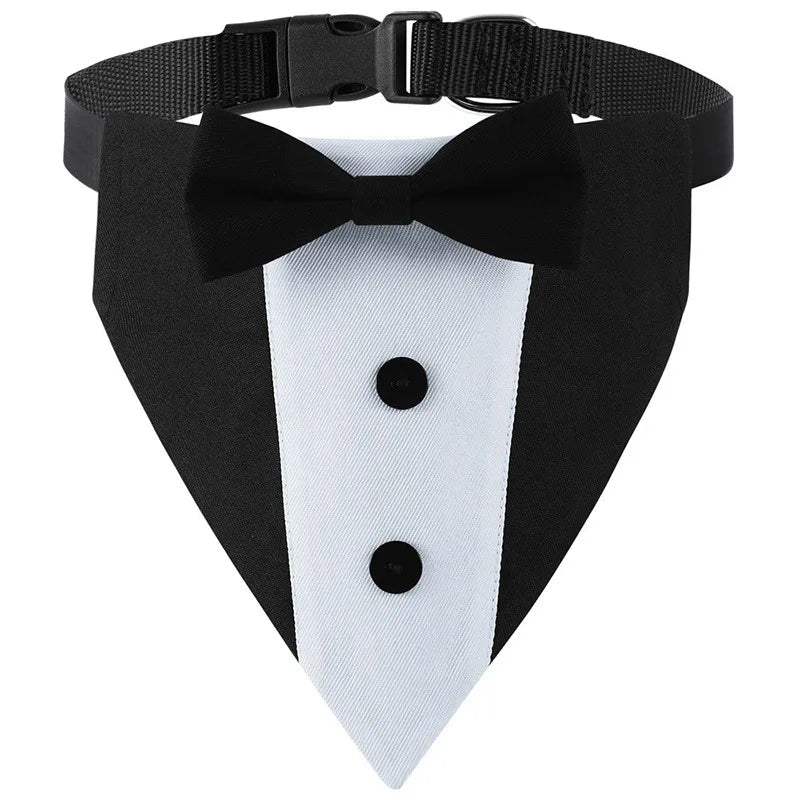 Collier pour chien fantaisie noir 
