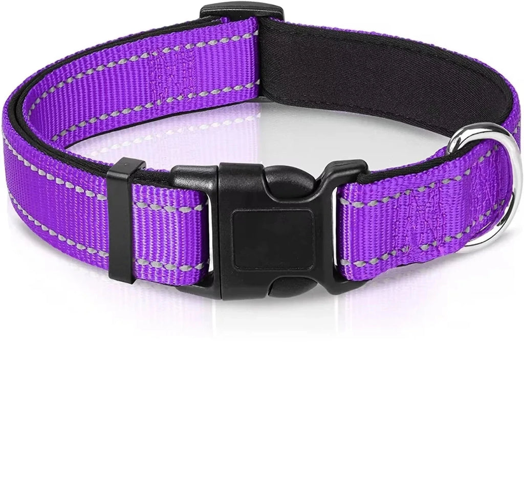 Collier pour chien réfléchissant