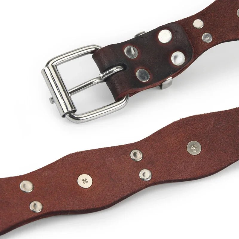 Collier pour chiot rottweiler avec une attache métallique 