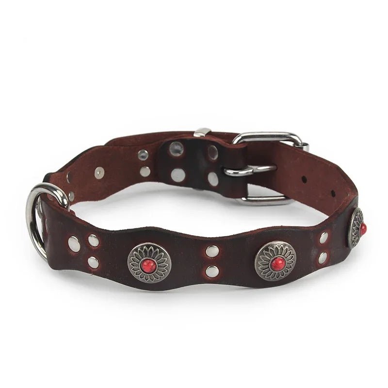 Collier pour chiot rottweiler de couleur brun avec des attaches métallique 