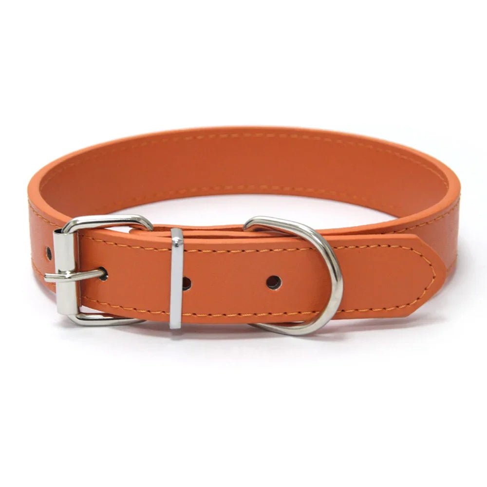 Collier style cuir ajustable pour chien