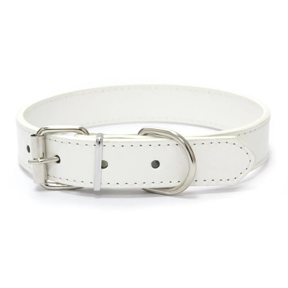 collier pour chiot blanc de style cuir pour petit chien. Image produit Boutiquechien