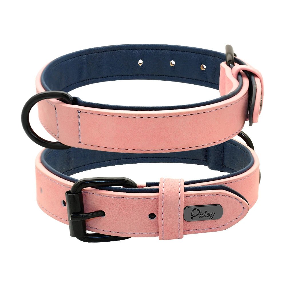 collier style cuir pour chien de couleurs rose et Bleu. Image produit Boutiquechien 