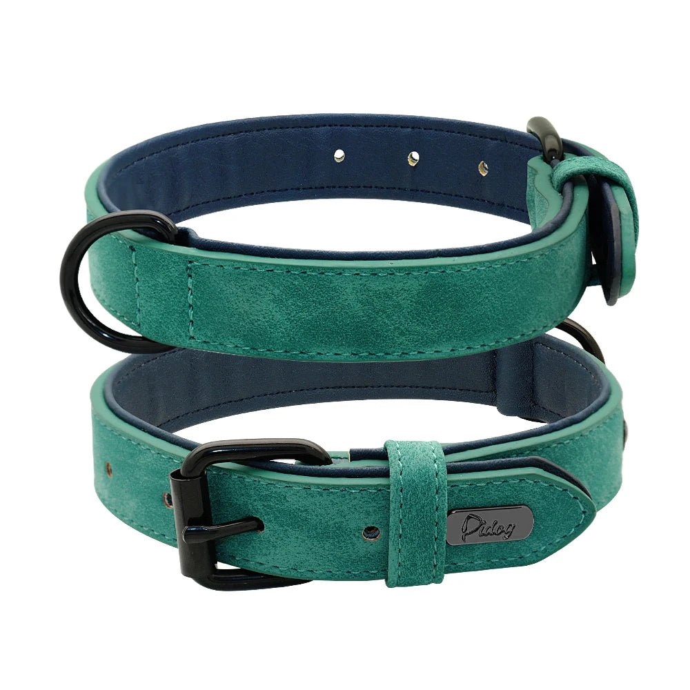 collier style cuir vert pour chien. L'intérieur du collier est bleu et le produit est de Boutiquechien