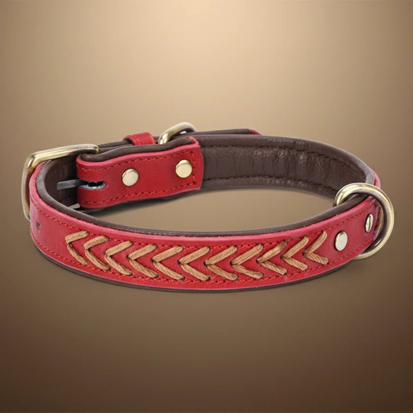 Collier tressé chien rouge