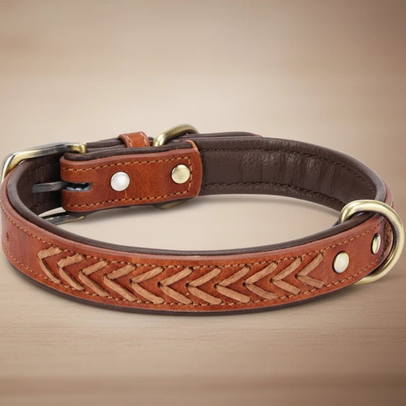 Collier tressé chien brun
