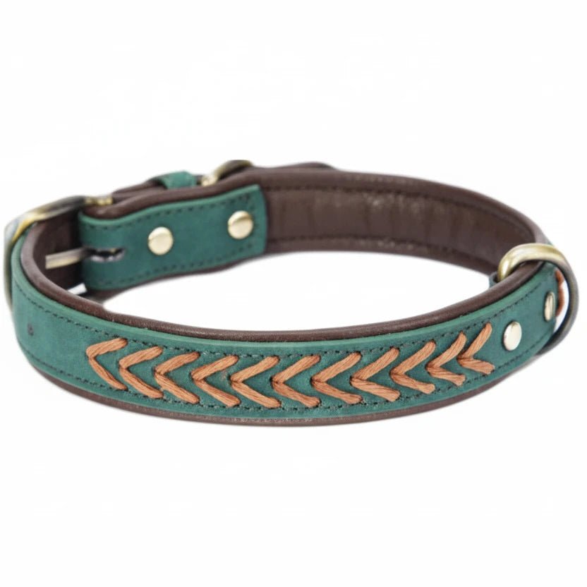 Collier tressé chien vert