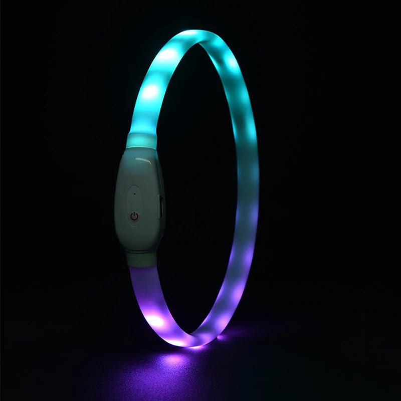 Collier lumineux pour chien de couleur bleu et violet. Image produit Boutiquechien