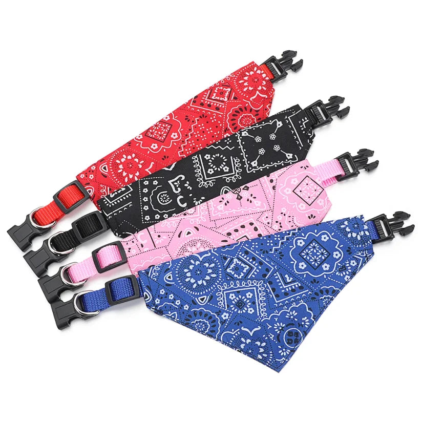 Collier bandana chiot de couleur différente dans un fond blanc