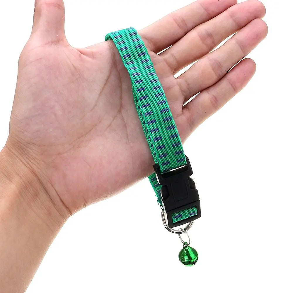 collier chien anti puce de couleur vert et noir. avec une main qui le met en avant  Image