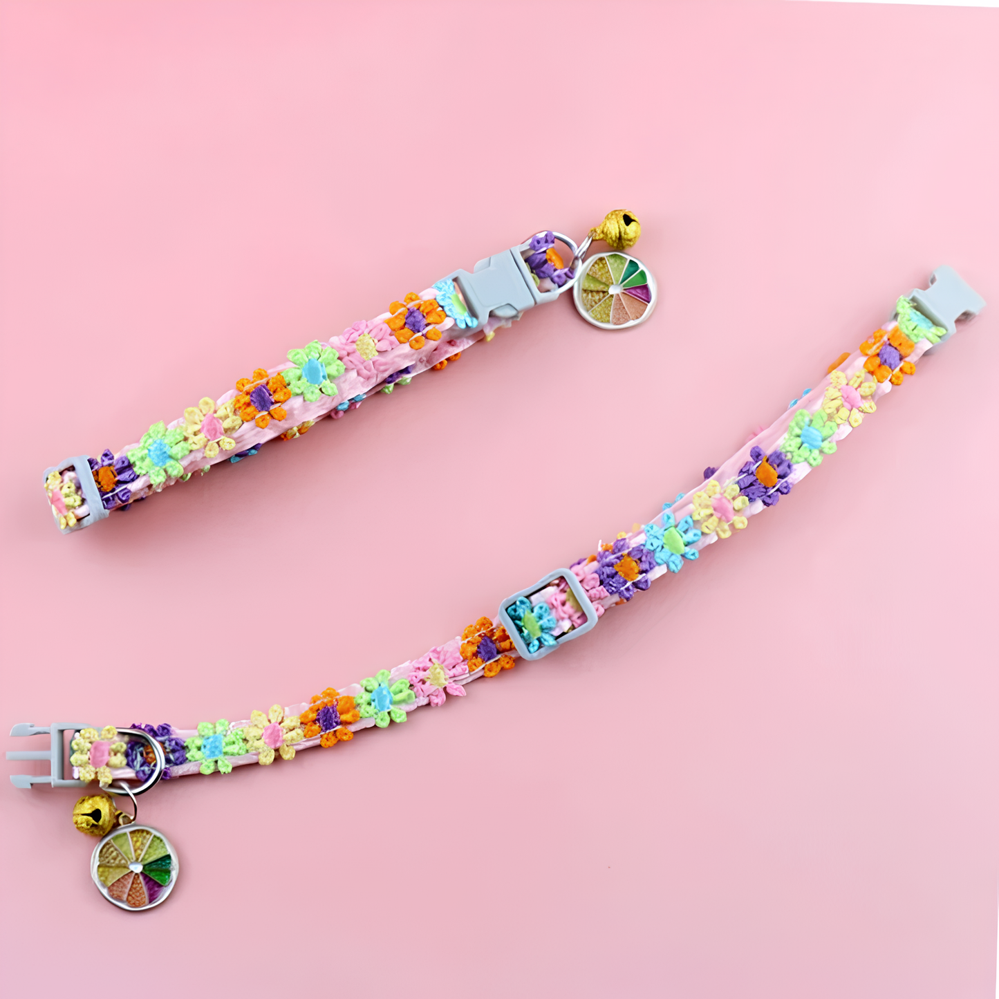 Collier chiot pour femelle