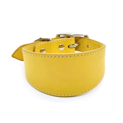 collier chiot whippet de couleur jaune