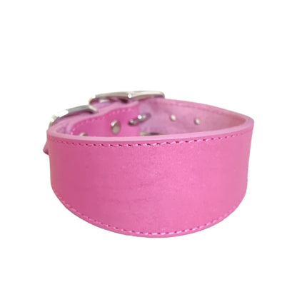 collier chiot whippet de couleur rose claire