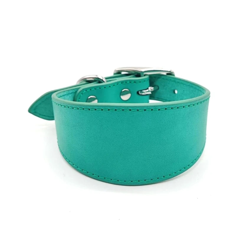collier chiot whippet vert claire