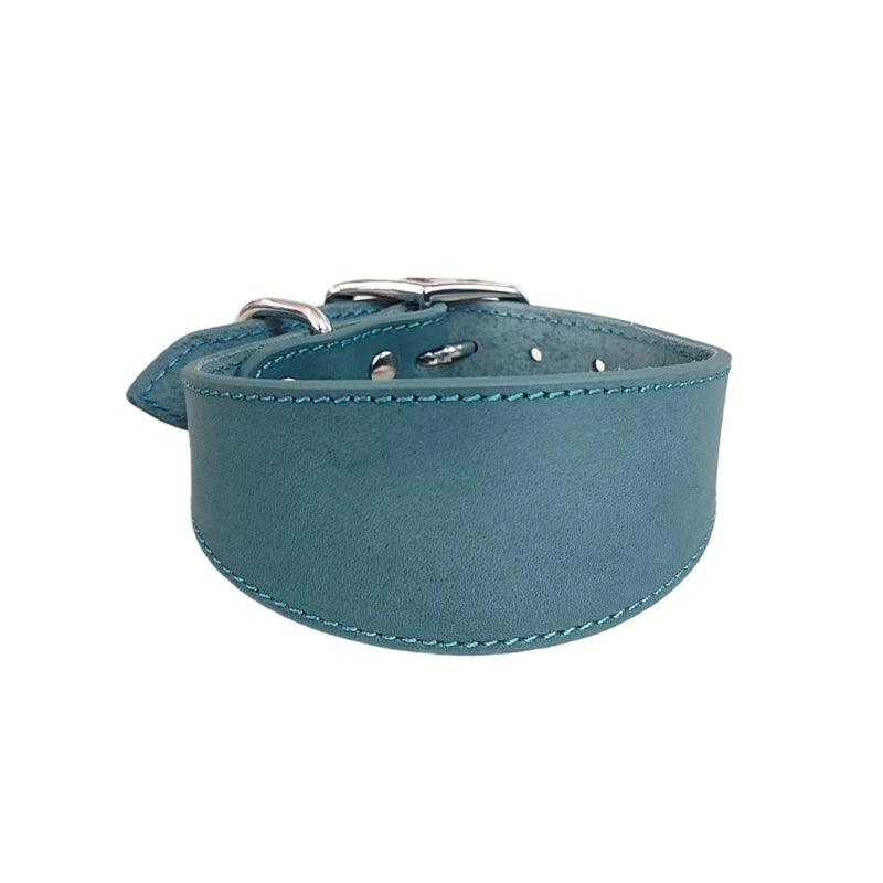 collier chiot whippet de couleur vert fonce 