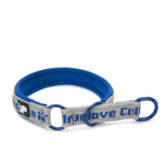 collier pour chien étrangleur de couleur gris et blanc avec comme écriture en bleu 'trulove". Image produit Boutiquechien 