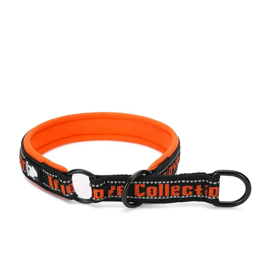collier pour chien étrangleur de couleur noir et orange avec comme écriture en rouge 'trulove". Image produit Boutiquechien 