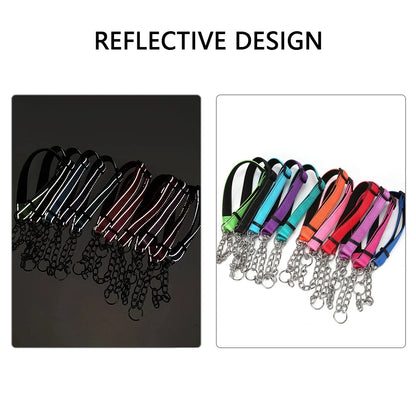 collier étrangleur chien réfléchissant de plusieurs couleurs pour chien. Image produit Boutiquechien