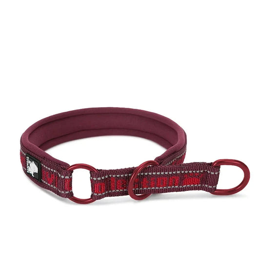 collier pour chien étrangleur de couleur rouge avec comme écriture en rouge 'trulove". Image produit Boutiquechien 