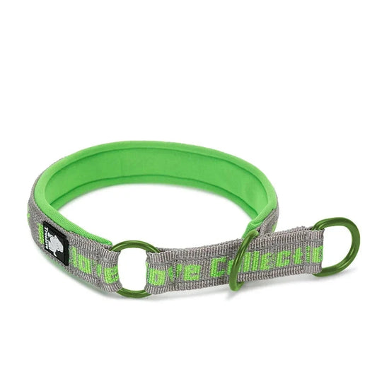 collier pour chien étrangleur de couleur vert et gris avec comme écriture en vert 'trulove". Image produit Boutiquechien 