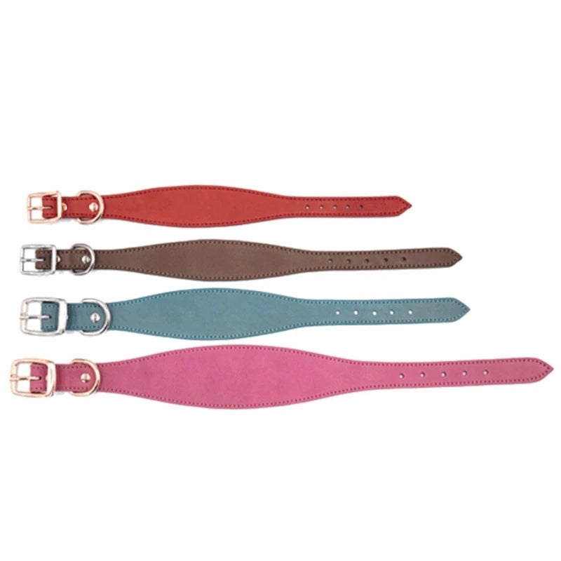 collier pour chien whippet de couleur différentes 