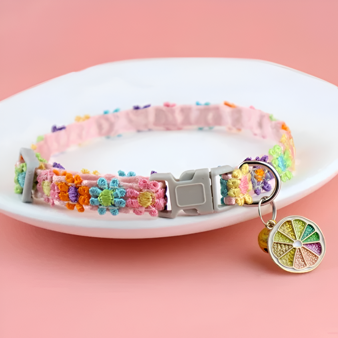 Collier pour chiot colorer en forme de pamplemousse de boutiquechien