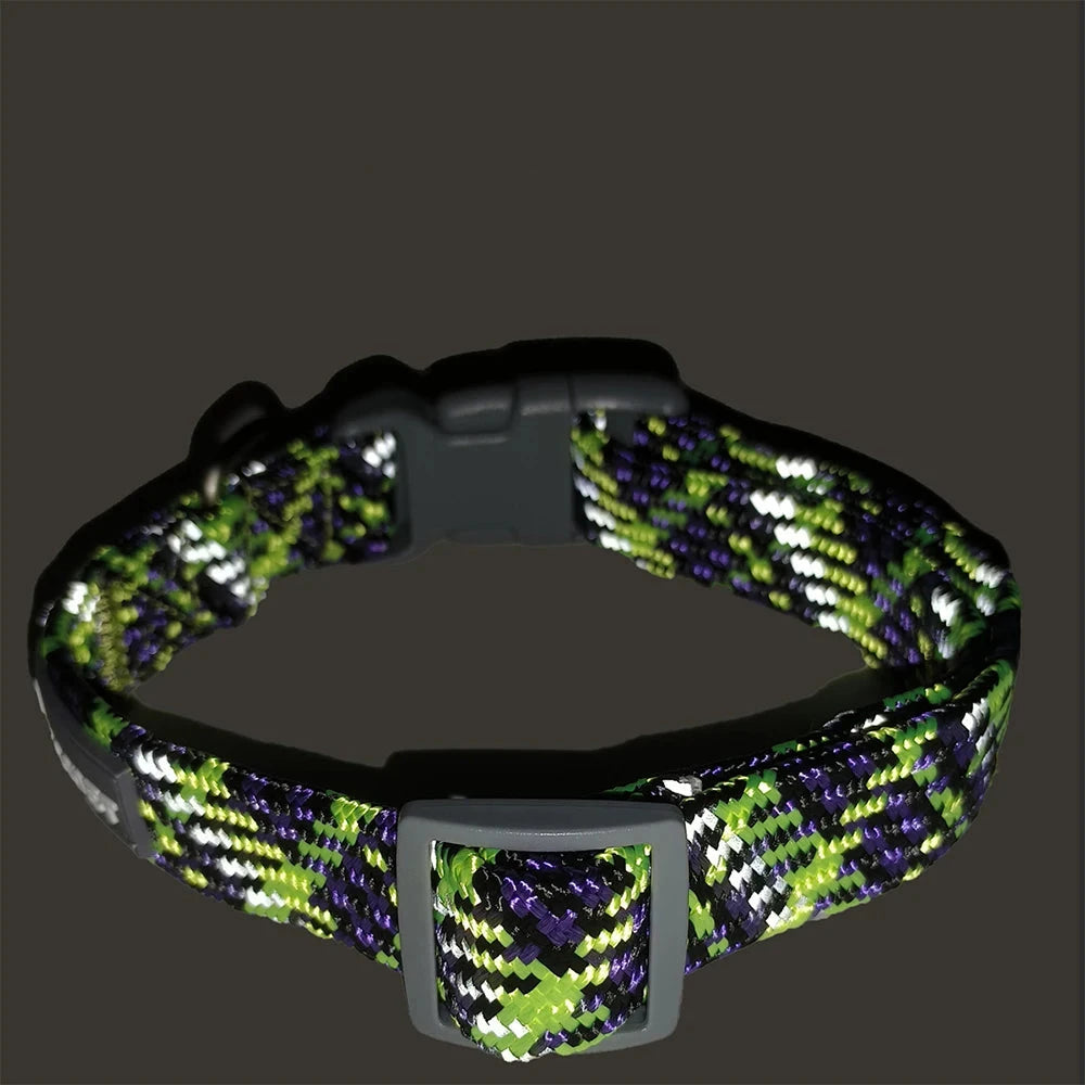 Collier chiot husky de couleur vert violet vue de nuit 