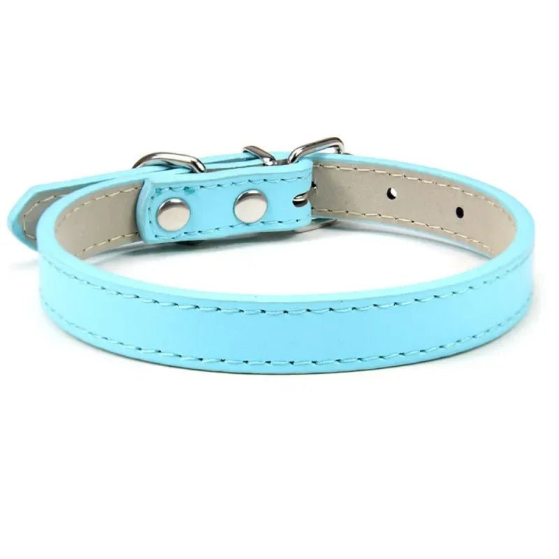 Collier chiot de couleur bleu claire pour petit chien. Image produit Boutiquechien 