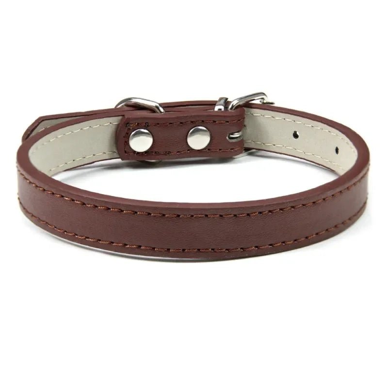 Collier chiot de couleur brun pour petit chien. Image produit Boutiquechien 