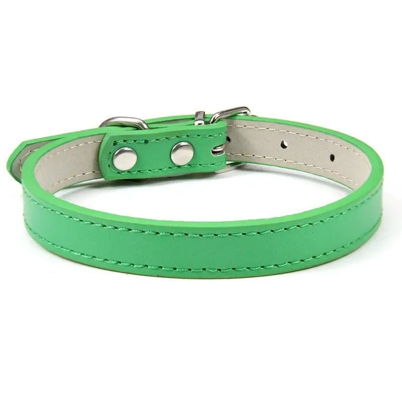 Collier chiot de couleur vert pour petit chien. Image produit Boutiquechien 