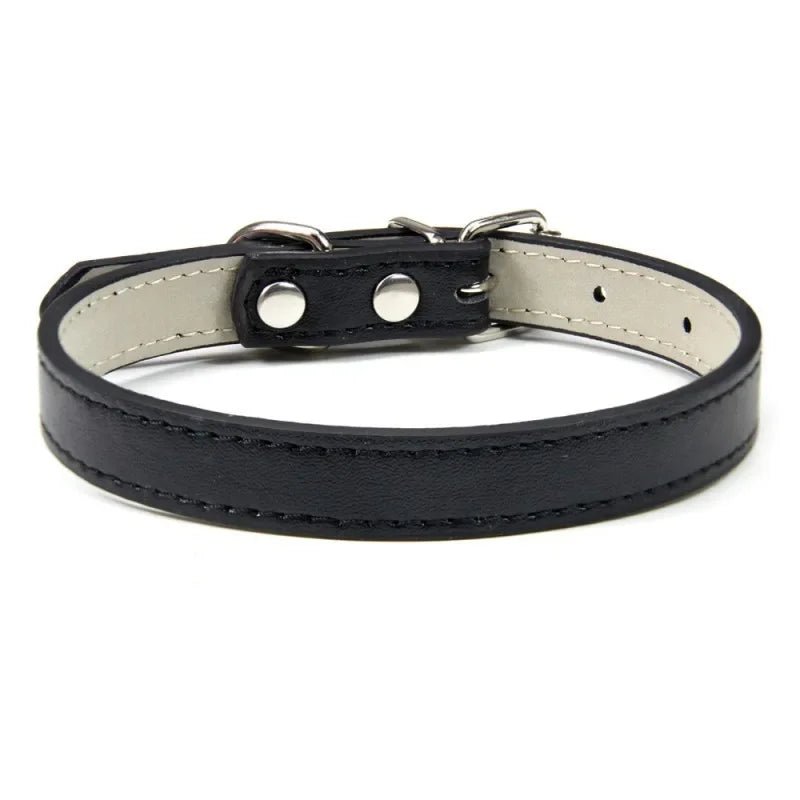 Collier chiot de couleur noir pour petit chien. Image produit Boutiquechien 