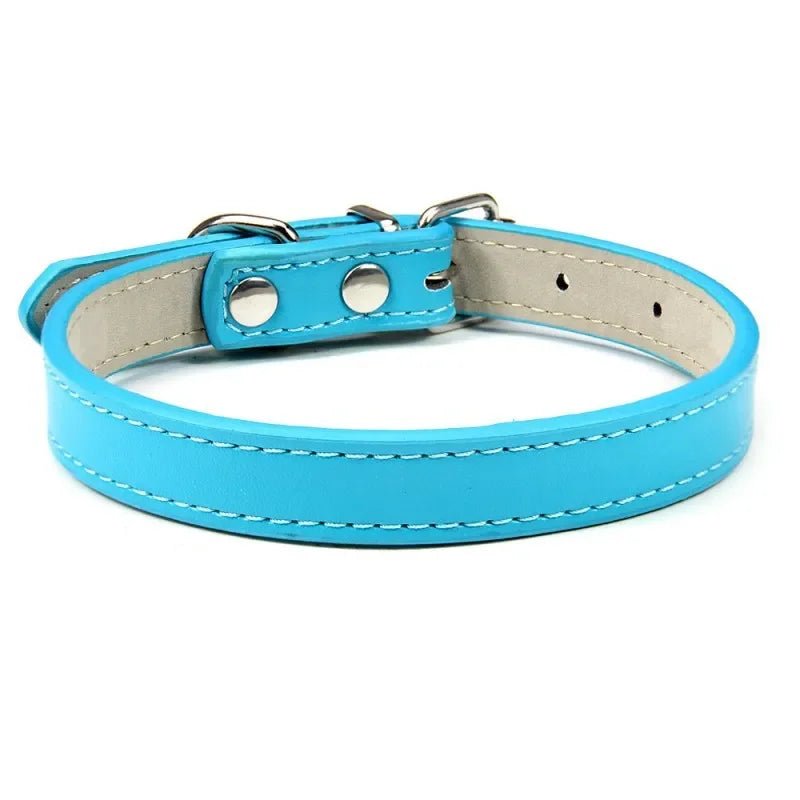 Collier chien et chiot de couleur bleu. Image produit Boutiquechien