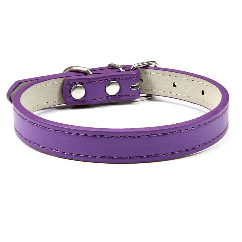 Collier chiot de couleur violet pour petit chien. Image produit Boutiquechien 